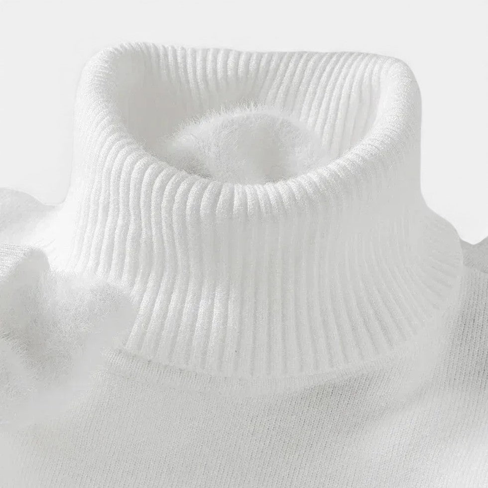 Griffin | Men's Turtleneck Wool Sweater