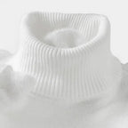 Griffin | Men's Turtleneck Wool Sweater